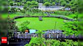 Dengue Outbreak Fear at Patuli Floating Market | Kolkata News - Times of India