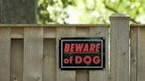 Owner's yard sign warns neighbors about dog for hilarious reason: 'I have never related so much to another creature'