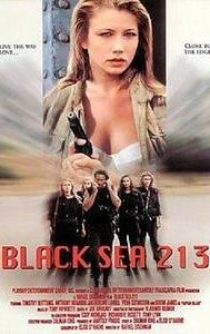 Black Sea 213