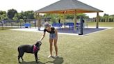 Fun for furry friends: Five off-leash dog parks where your dog can roam free