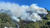 Detienen a padre e hijo acusados de iniciar incendio forestal en cerro de Niebla - La Tercera