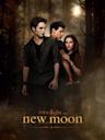 The Twilight Saga: New Moon