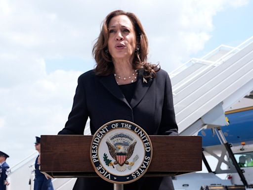 Kamala Harris secures Democratic nomination in roll call vote, kicking off official Trump v Harris race: Live