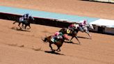 WT Alumni Association plans gatherings at Hodgetown, Ruidoso Downs