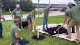 Living Lands and Waters plants its 2 millionth tree at Arconic