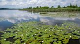 El hogar del águila arpía y lagos vírgenes, entre las 11 nuevas reservas de biosfera en el mundo