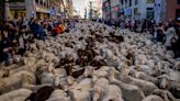 Fact check: Viral video of dead sheep was taken in country of Georgia in 2021, not recently in Idaho