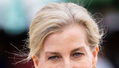 Duchess Sophie Stuns in Pink Silk Crepe Dress—& We Found 3 Elegant Options Just Like It