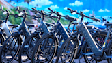 Minnesota state website promoting e-bike rebates crashes