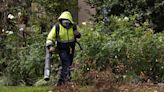 The problem with leaf blowers