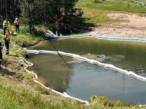 Car carrying 5 people runs off the road and into a hot geyser in Yellowstone