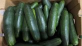 South Florida Company Announces Cucumber Recall | NewsRadio WIOD | Florida News