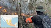 Combaten 130 incendios forestales más de 7 mil en México