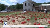 Alabama Poppy Project in Prattville remembers Memorial Day in unique way - WAKA 8