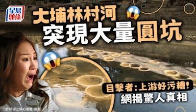 大埔林村河突現大量圓坑 目擊者：上游好污糟！網揭驚人真相｜Juicy叮