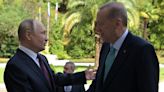 Putin hopes to meet Turkish President Erdogan at regional meeting