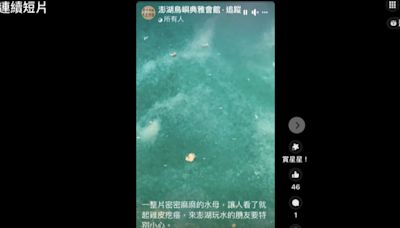 澎湖海溫上升水母大爆發！傳箱網養殖魚大量吞食暴斃