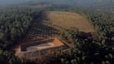 Angry farmers in a once-lush Mexican state target avocado orchards that suck up too much water