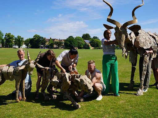 'The Herds': The animal puppets art project set to travel 20,000km across the world