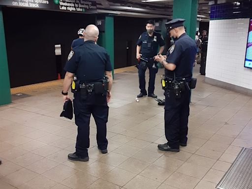 Joven acuchillada en el Metro de Nueva York por no dar dinero; hispano héroe capturó al agresor - El Diario NY