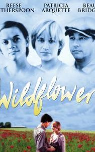 Wildflower (1991 film)