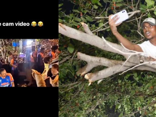 TREE View Cam! Watch Team India's Victory Parade Footage That Man Recorded From A Tree's Branch