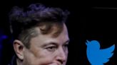 'Elon abandoned Tesla': The EV maker's 3rd-largest individual shareholder calls for a new CEO as the Twitter circus tests investor patience