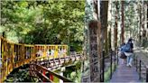 搭黃色柴油小火車穿梭在森林鐵道間，宜蘭遊太平山走入茂興懷舊步道，沐浴參天巨木林中