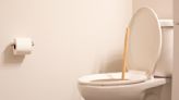 You’re Probably Using the Wrong Plunger to Unclog Your Toilet