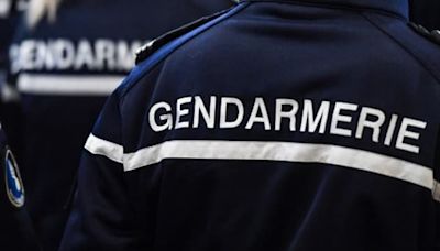 Isère : un homme recherché pour viol par Interpol interpellé en Allemagne, son fils hospitalisé