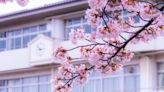 Transición ecológica en la escuela: educación, edificios y entornos escolares