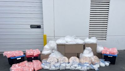 Riverside County deputy, 14 others arrested in drug trafficking bust