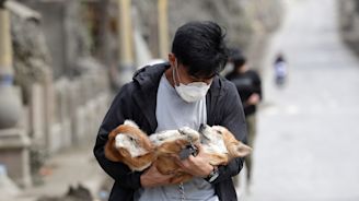 Heartbreaking photos show dogs and horses being rescued after Taal volcano eruption