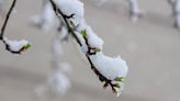 Colorado spring storm snow totals for March 24-25