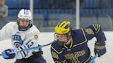 Hartland searching for answers after hockey loss to Livonia Stevenson