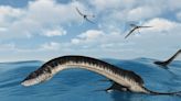 This Dinosaur Could Double For the Loch Ness Monster and May Have Lived in Freshwater Too