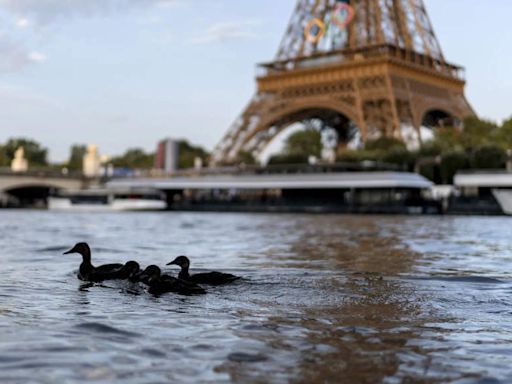 Olympic triathletes will swim in Paris' Seine River after days of concerns about water quality - The Economic Times