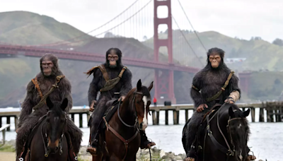 Costumed apes ride on horseback near San Francisco s Golden Gate Bridge