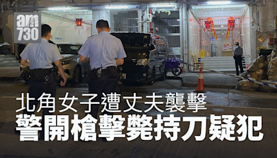 北角男疑持刀襲妻母 警勸無效開槍擊斃 | am730