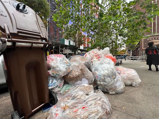 New York's viral new trash cans unveiled nearly 2 years after a $1.6 million contract with consultancy giant McKinsey