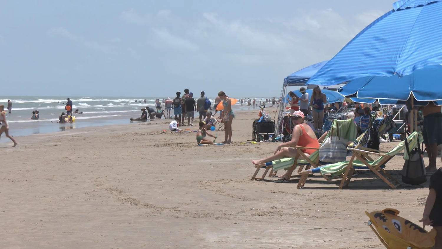 Four injured in Fourth of July shark attacks in Texas, Florida