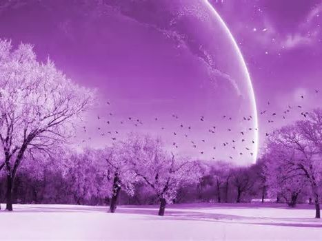 El púrpura es el nuevo verde: ese es el color más probable de la vida fuera de la Tierra
