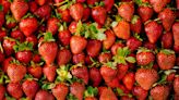 The Only Way To Store Strawberries So They Last, According To Experts