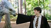 Harry Potter e o Prisioneiro de Azkaban é o melhor filme da franquia?