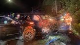 4 adults, 4 kids injured in head-on crash caused by moose