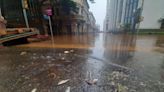 Água baixa mas deixa mau cheiro e animais mortos em bairros centrais de Porto Alegre