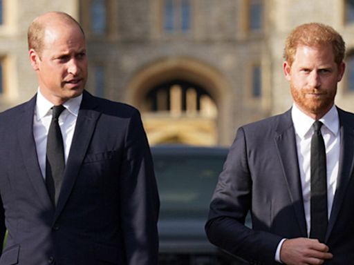 Prince Harry's inheritance payday on 40th birthday to eclipse Prince William's cut as 'the spare': expert