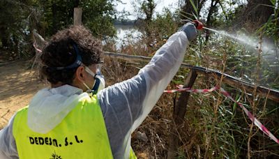 La desgarradora denuncia del hijo de la mujer fallecida por el virus del Nilo en Sevilla: "Hay un grave peligro de salud pública"