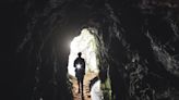 A Routine Excavation Revealed a Stunning Maze of Hidden Tunnels Beneath a Tiny Garden