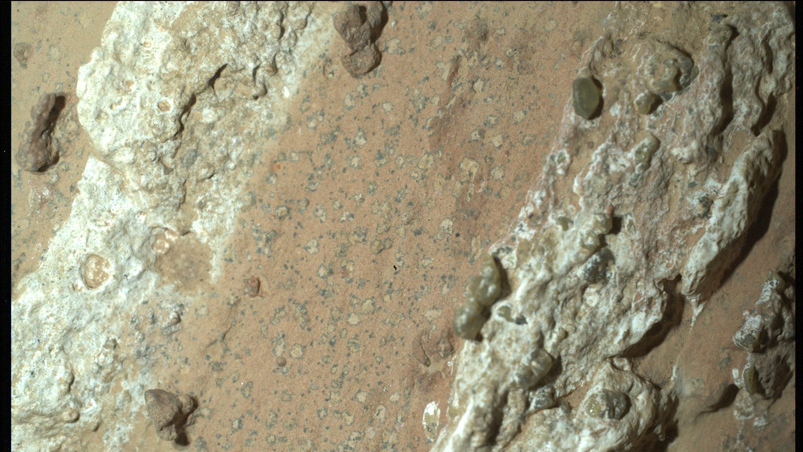 This Mars rock could show evidence of life. Here's what Perseverance rover found.